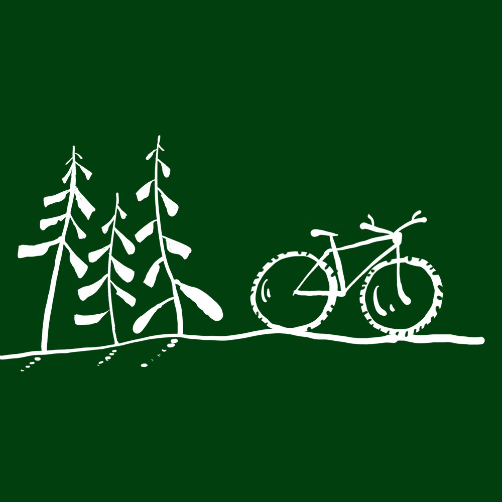 bike and forest